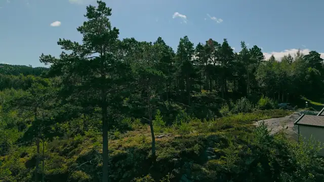 Frosta er kjent som "Trondheims kjøkkenhage" på grunn av sitt rike jordbruk og mange gårdsutsalg.